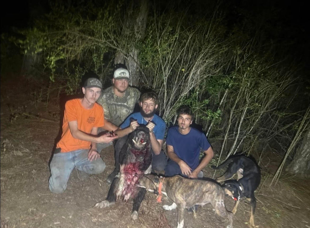 Guided Hunting