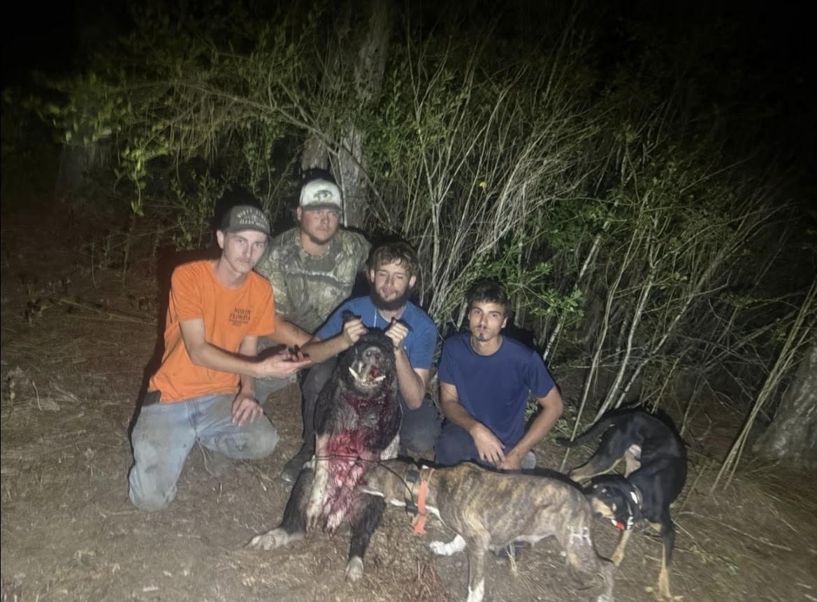 Guided Hunting